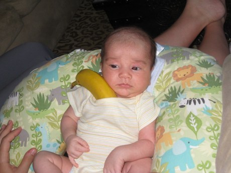 Whew, I Picked the Correct One!