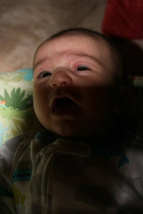 The Fridge Light Captures Your Eyes So Beautifully, Worm!