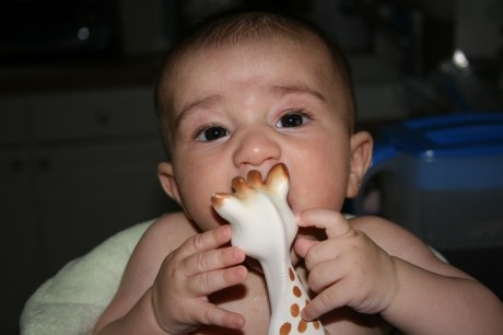 We're More Civilized Today!  We Only Eat Rubber Giraffes Now!