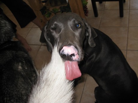 Why Does Everything Smell Like Strawberry Frosting???