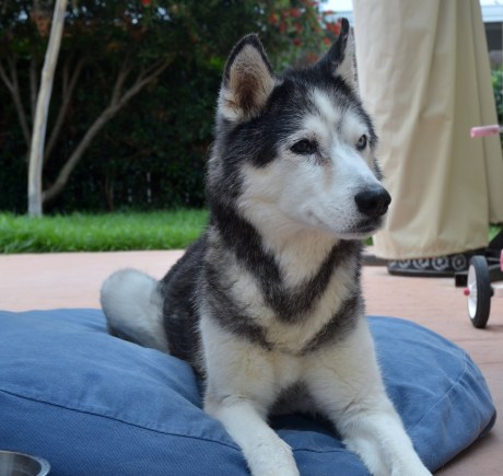 Rest in Peace - Unknown - 9/21/2015